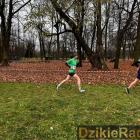 Fotka nr 2 z 21