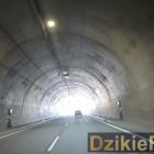 zdjęcie nr 139