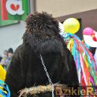 zdjęcie nr 386
