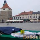zdjęcie nr 7