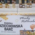 zdjęcie nr 45