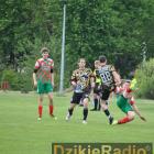zdjęcie nr 54