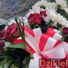 Fotka nr 1 z 6
