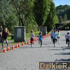 zdjęcie nr 85