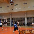 Fotka nr 4 z 104