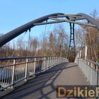 zdjęcie nr 9
