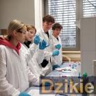 zdjęcie nr 8