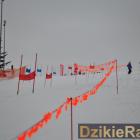 zdjęcie nr 124