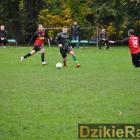 zdjęcie nr 23