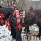 zdjęcie nr 147