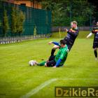 zdjęcie nr 12