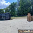 zdjęcie nr 226