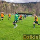 zdjęcie nr 140