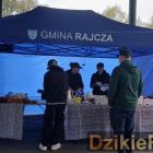 zdjęcie nr 179