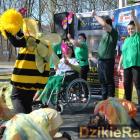 zdjęcie nr 125
