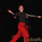 zdjęcie nr 177