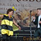 zdjęcie nr 119