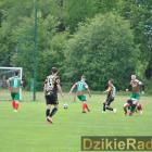 zdjęcie nr 41