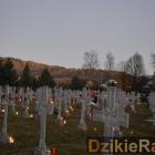 zdjęcie nr 56