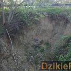 zdjęcie nr 12