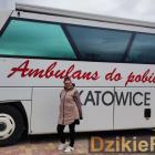 zdjęcie nr 17