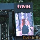 zdjęcie nr 99