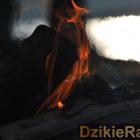 zdjęcie nr 208
