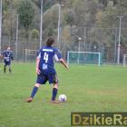 zdjęcie nr 221