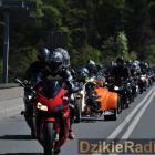 zdjęcie nr 105