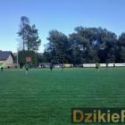 zdjęcie nr 185