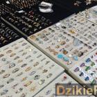 zdjęcie nr 24