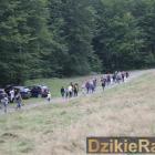 zdjęcie nr 84