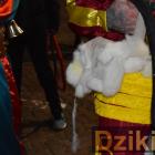 zdjęcie nr 22