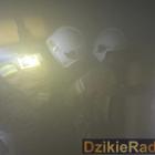 zdjęcie nr 7