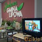 zdjęcie nr 14