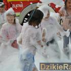 zdjęcie nr 164