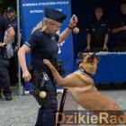 Fot. policja.pl