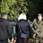 zdjęcie nr 218