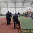 Fotka nr 3 z 41