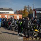 Fotka nr 5 z 500