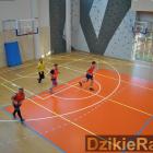 zdjęcie nr 13