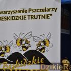 zdjęcie nr 108