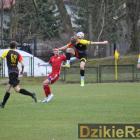 zdjęcie nr 15