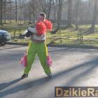 zdjęcie nr 55