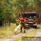 Fot.  Komenda Wojewódzka Państwowej Straży Pożarnej w Katowicach