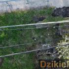 zdjęcie nr 7