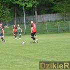Fotka nr 4 z 223