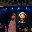 zdjęcie nr 156