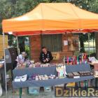 zdjęcie nr 122