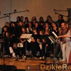 zdjęcie nr 52